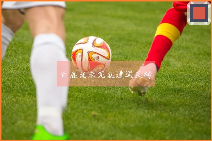 白鹿话未完就遭遇反转