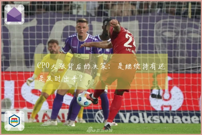 CPO大涨背后的决策：是继续持有还是及时出手？
