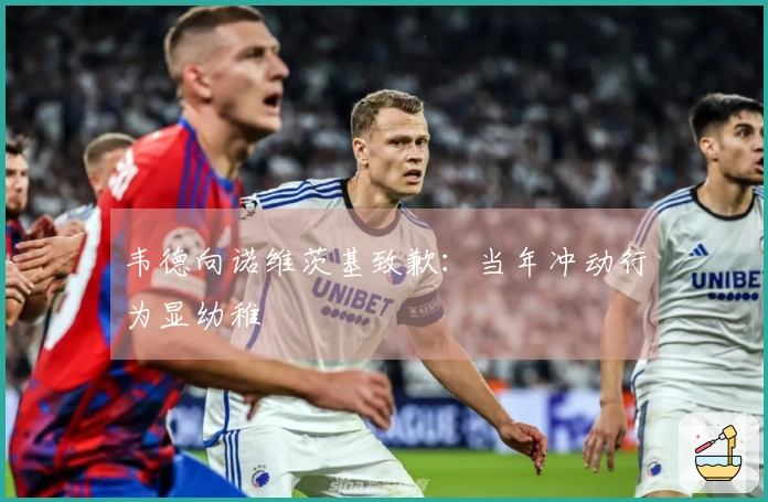 韦德向诺维茨基致歉：当年冲动行为显幼稚